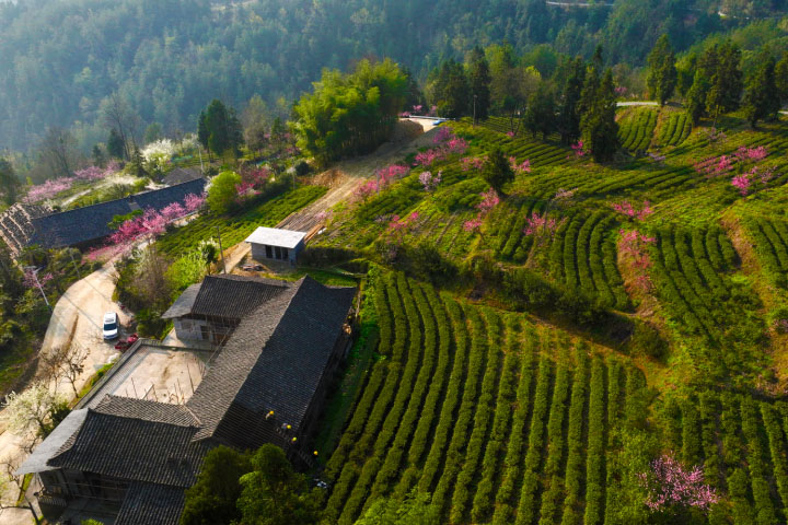 鵝池社溪 拷貝.jpg